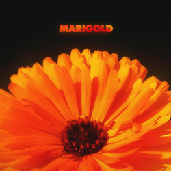 Marigold - Alex Isley &amp; Jack Dine Cover Art