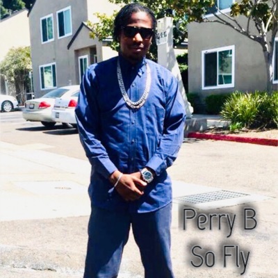 So Fly - Single