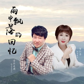 雨中飘落的回忆 (舞曲对唱缺男声版) 贺仁秀