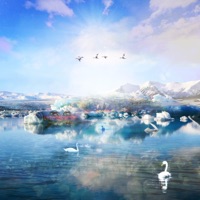 Sagittarius - Michael Michaelson