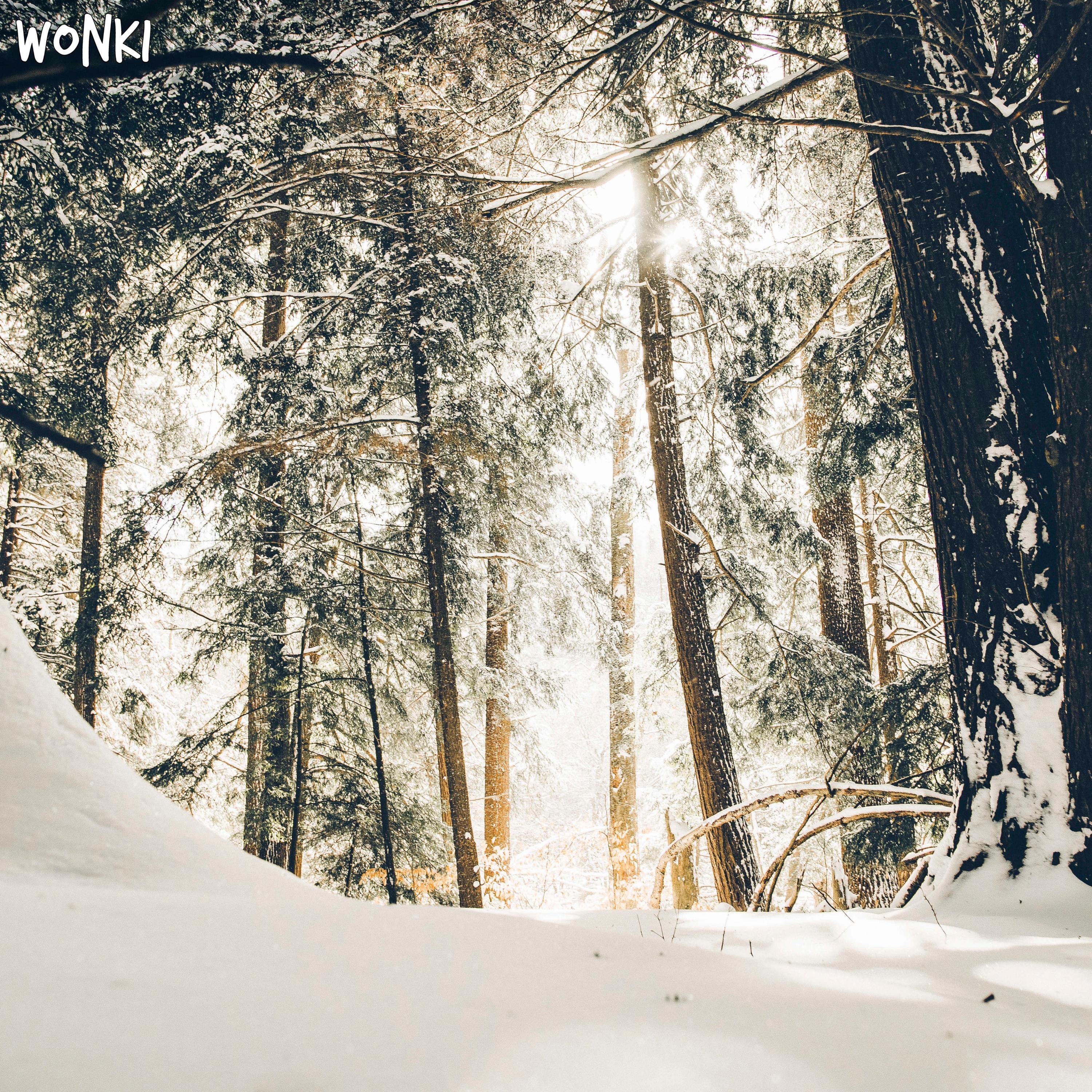 Merry Merry - Single