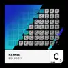 Haynes - Big Booty (Extended Mix)