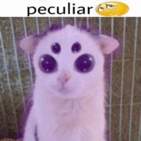 Bunny - Single - Astradash