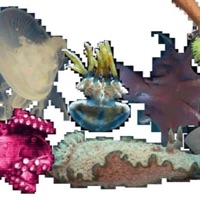 Wrigley Frestyle - Single - redbug