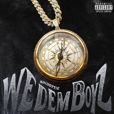 We Dem Boyz - Single