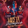 Você Tá Desconfiando (feat. É O CAVERINHA) - Single