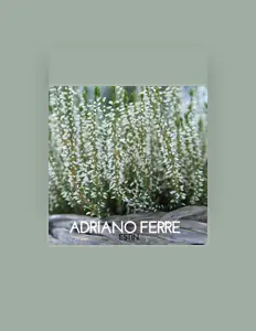 收听 Adriano Ferre、观看音乐视频、阅读小传、查看巡演日期等 ！