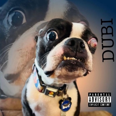DUBI .Shoty. .A-One. (Radio Edit) - Single