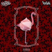 Flamingo (feat. Nusun) - Single - FAUSTOE