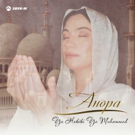 Ya Habibi Ya Muhammad Anora