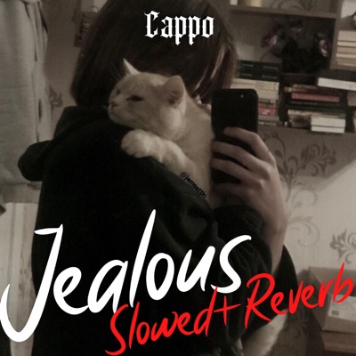 CAPPO - Jealous (Slowed+Reverb)