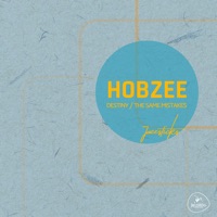 Destiny / The Same Mistakes - Single - Hobzee