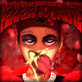 Perreito Triste #3 Eich