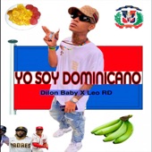 Yo Soy Dominicano artwork