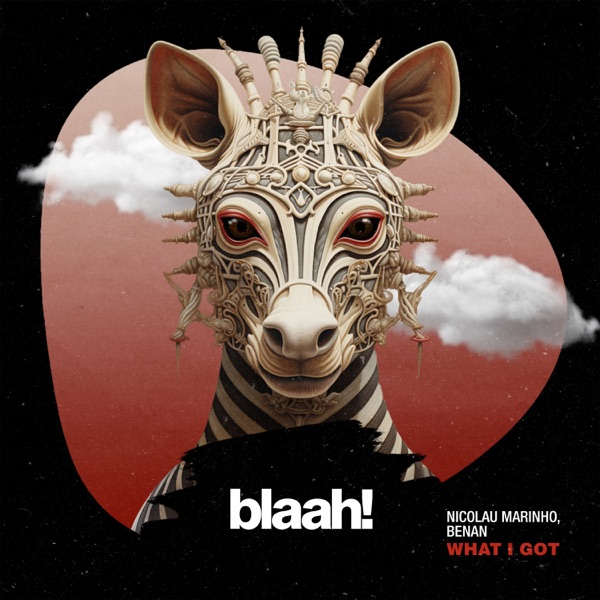 What I Got - Single
