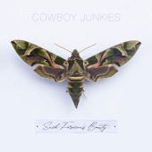 Cowboy Junkies - Hard to Build. Easy to Break