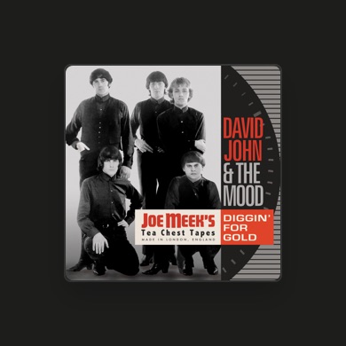 DAVID JOHN & THE MOOD