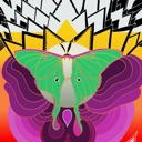 Cut Your Face - Single