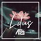 Lotus - A94 lyrics