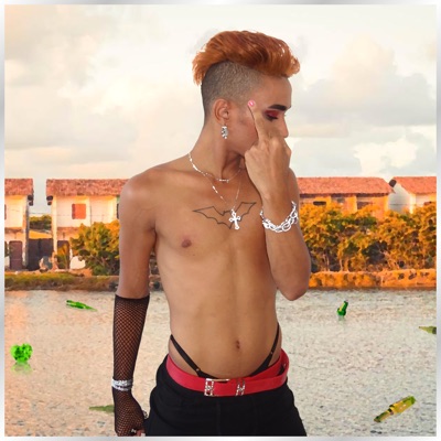 20 Mil Reais - Single