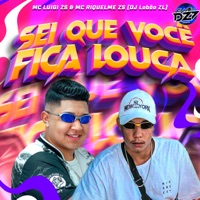 SEI QUE VOCÊ FICA LOUCA (feat. CLUB DA DZ7) - Single - MC LUIGI ZS, DJ Lobão ZL & MC RIQUELME ZS