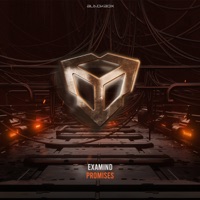 Promises - Single - Examind