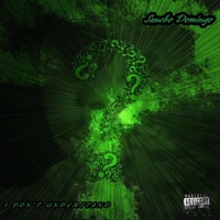 I Don't Understand - Single - Sancho Domingo