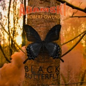 Black Butterfly artwork