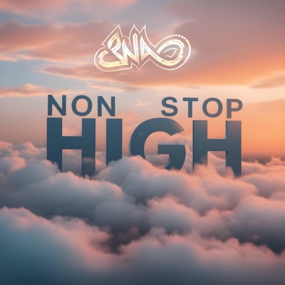 Non Stop High (feat. Adam Sutardy) - Single