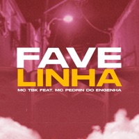 Favelinha (feat. Mc Pedrinho do Engenha) - Single - Mc TBK