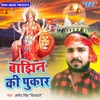 Bajhin Ki Pukar - Single