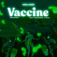 Vaccine (Second Dose) [feat. Smeezbeat & D3an] - Single - Molazzi