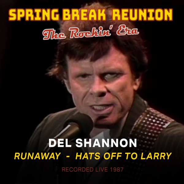 Spring Break Reunion: The Rockin' Era - Live - Single album cover