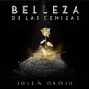 Belleza De Las Cenizas