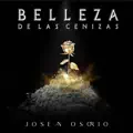 Belleza De Las Cenizas