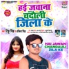 Hai Jawan Chandauli Zila Ke - Single