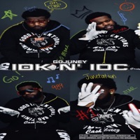 IDK N IDC (feat. Brudda!) - Single - GoJuney