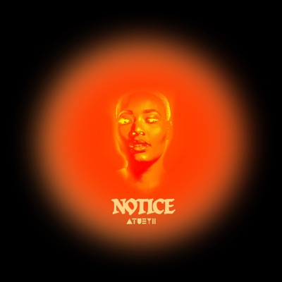 Notice - Single
