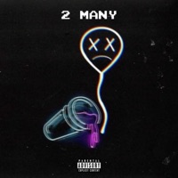 2 Many - Single - Ri & KILLSILOS