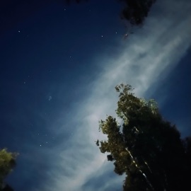 dirt (feat. Gray10k) Connor Bruton