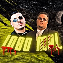 Lobo Mal GG No Comando