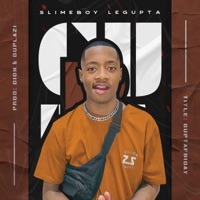 Gupta Friday (feat. Diion & Deejay Duplazi) - Single - Slimeboyy LeGupta