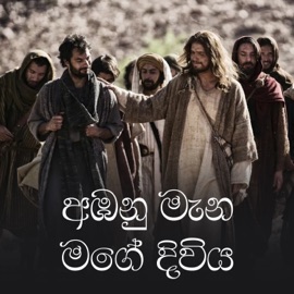 Ambanu Mana Mage Diviya (feat. Rev.Fr.Shreen Lowe, Rev.Fr.Dilshan Fernando & Amali Wijerathne) Rev.Fr.Shamindra Jayawardena