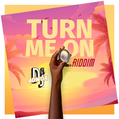Turn Me on ( Riddim ) - Single