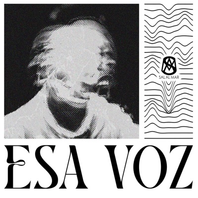 Esa voz (feat. Until My Heart Beats) - Single