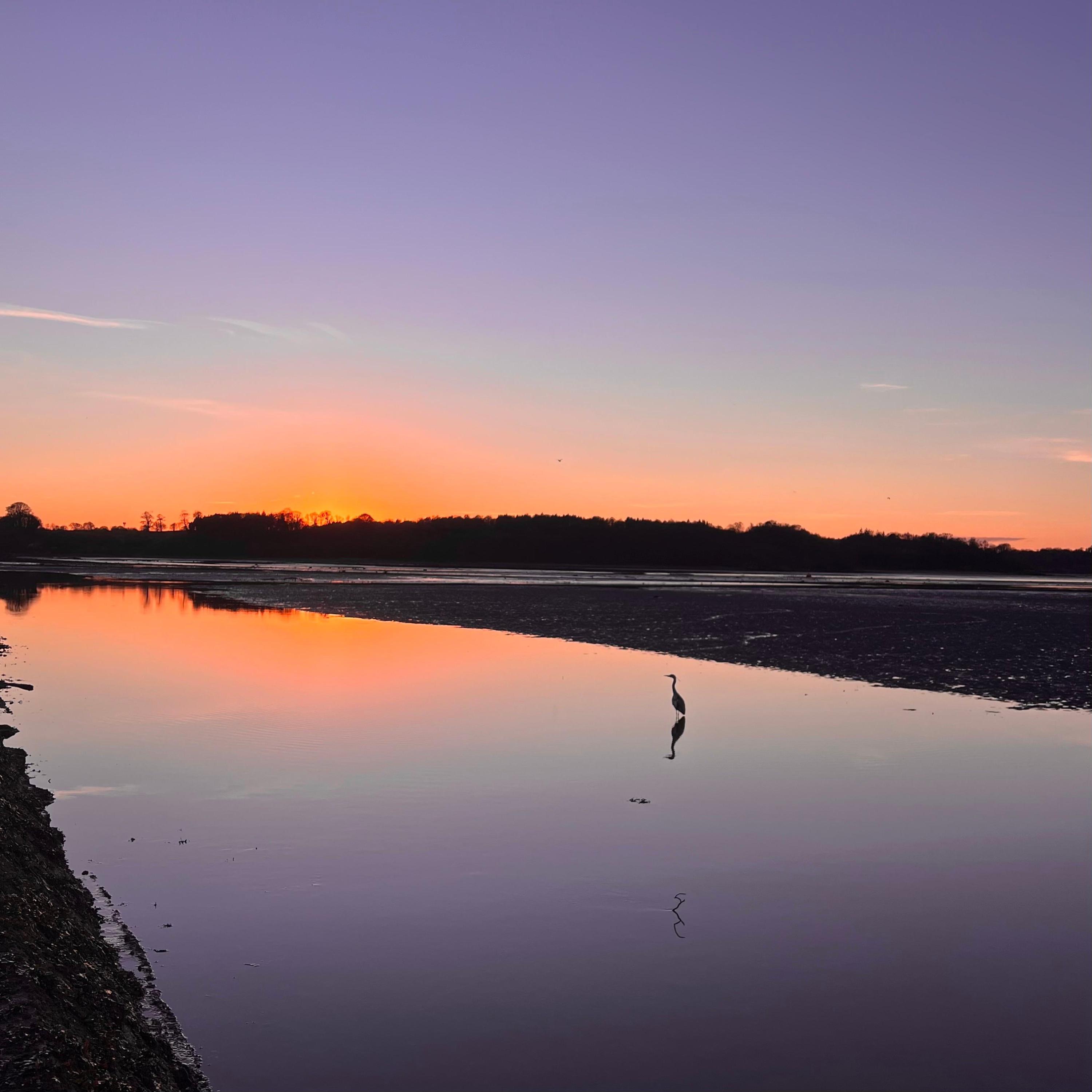 Sunset Phase - Through The Rain