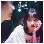 Crush (feat. ต้องตา Plastic Plastic) artwork