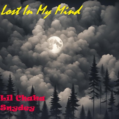 Lost In My Mind (feat. Snydey, Noshoes, Makozally & OKman) - Single