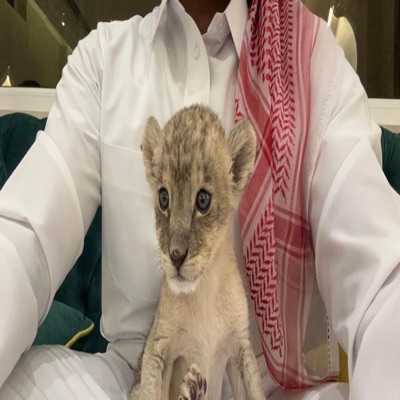 667skr - Malou Hbibi Malou (Speed up)