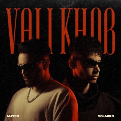 Vali Khob (feat. Solmiro) - Single